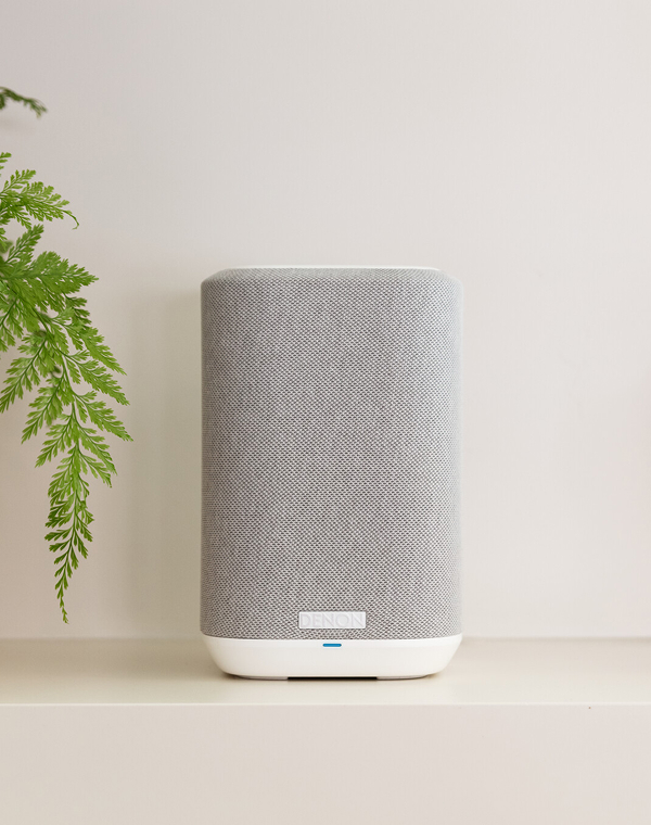 Denon Home 150 NV speaker